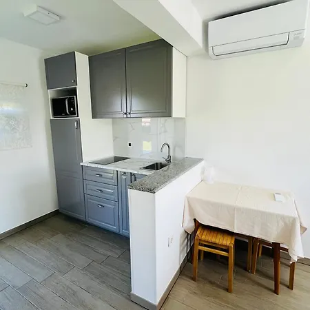 Appartement Jagodje *